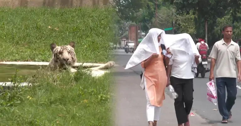 প্রচণ্ড গরমে দিল্লি ও পাঞ্জাবে রেড অ্যালার্ট জারি